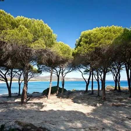 Monolocale Con Matrimoniale *